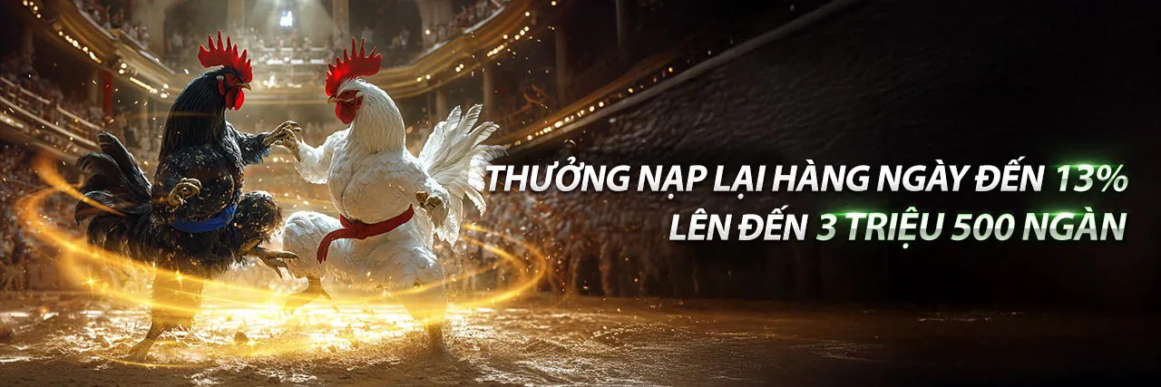 Phương thức thanh toán nhanh chóng và an toàn tại betvnd link mới